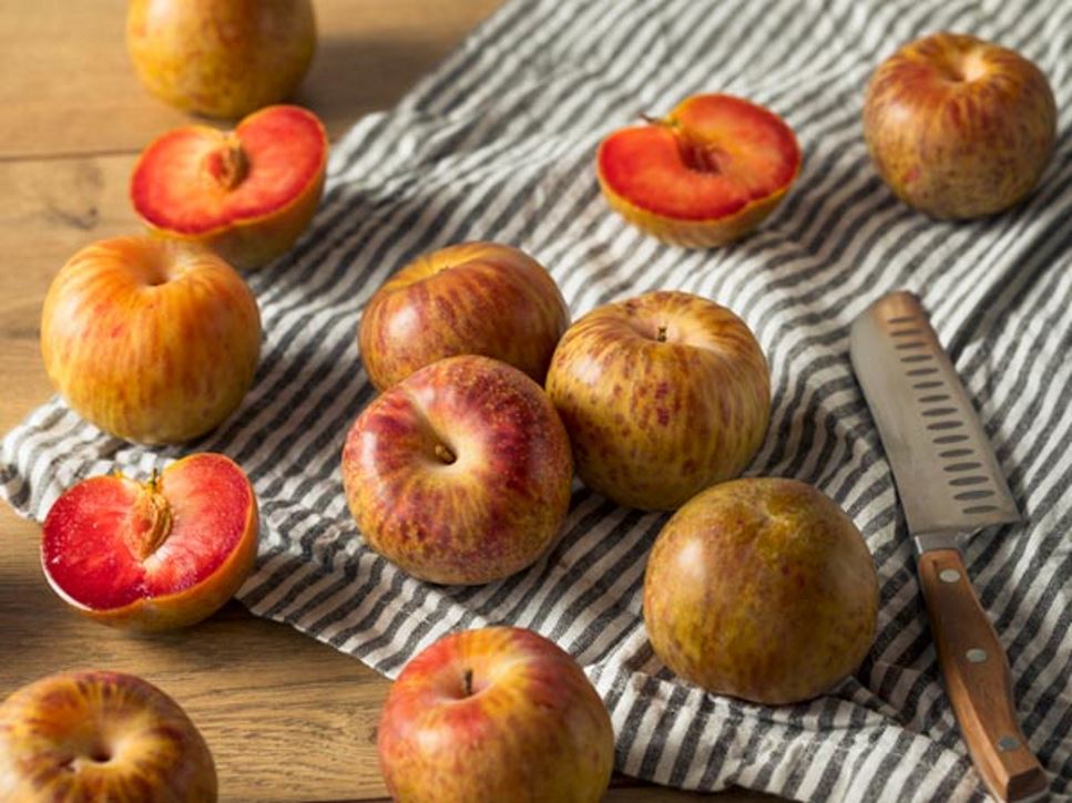 10 Must-Know Hybrid Fruits