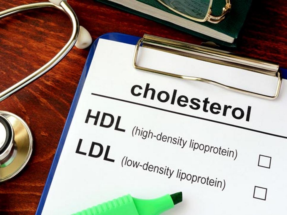 What is Cholesterol?