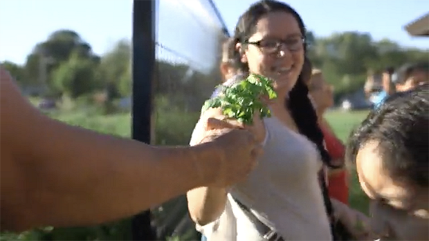 RDNs Nourishing the World